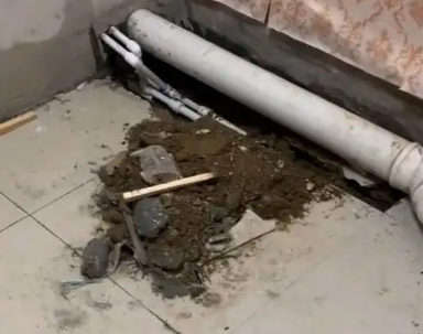 肥乡卫生间漏水检测哪家好